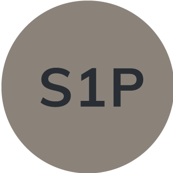 S1P